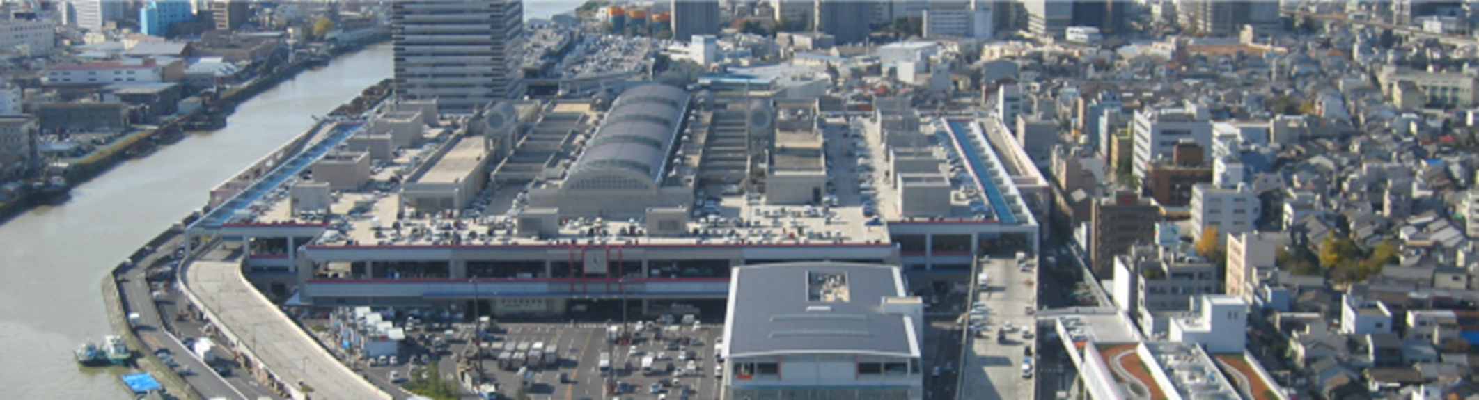 大阪市中央卸売市場　大阪本場